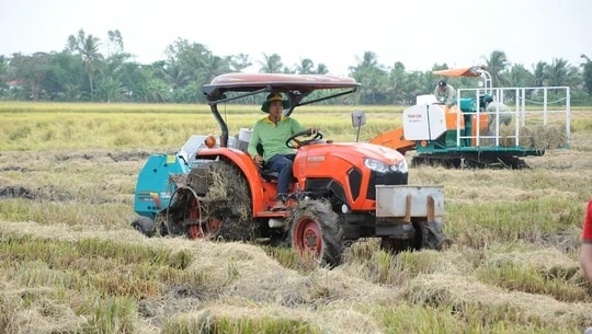 HCMC embraces circular economy in agriculture