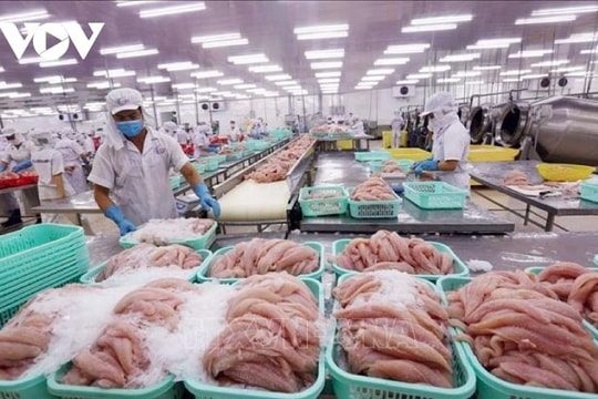 Vietnam represents largest pangasius supplier to Colombia