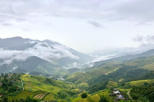 Mu Cang Chai in the rice ripening season