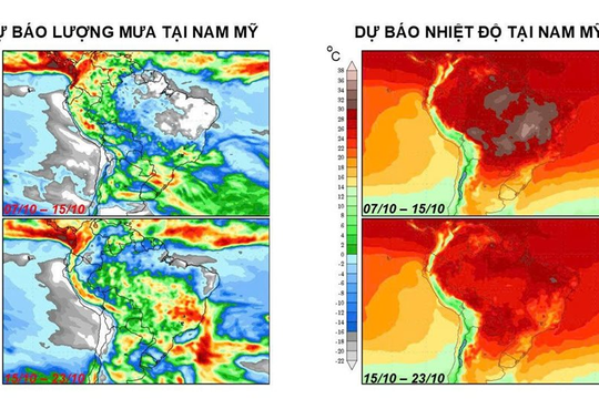 Mưa trở lại tại các vùng trồng cà phê chính của Brazil, dự báo sản lượng sẽ phục hồi