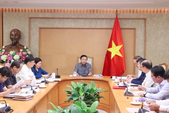 Vietnam to pilot carbon market during 2025-2028