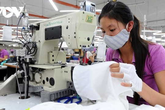 UOB ups Vietnam’s 2024 GDP growth forecast to 6.4%