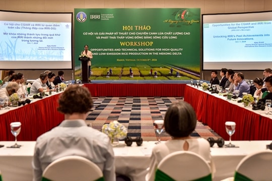 Mekong targets low-emission rice production with carbon credit initiative
