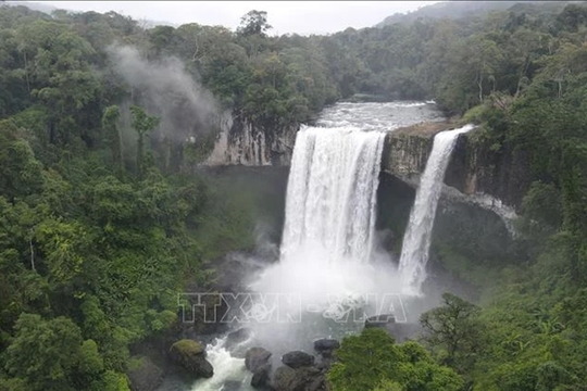 Network to connect ASEAN Heritage Parks in Việt Nam