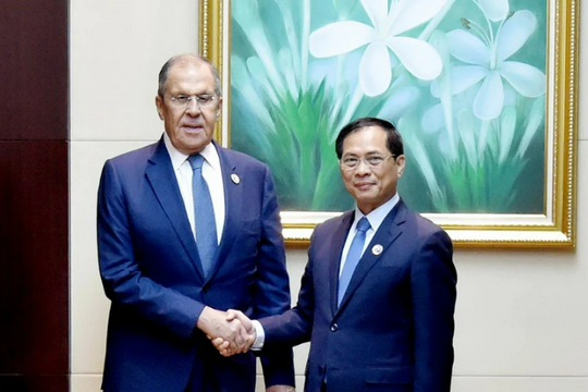 Vietnamese Deputy PM, FM meets with Russian FM in Laos