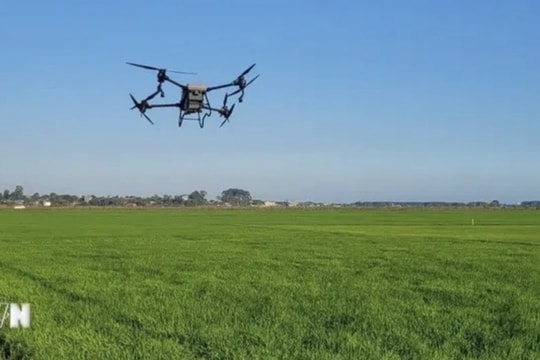 Digital transformation in agricultural sector faces significant hurdles