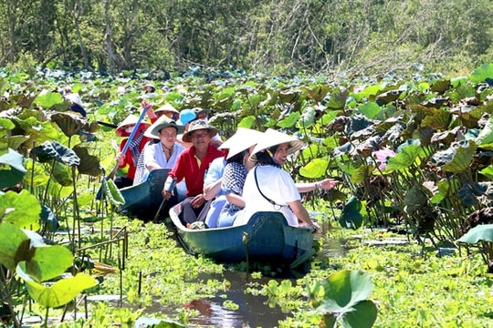 Solving human resource problem to develop tourism in Mekong Delta