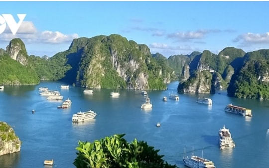 200 European billionaires to arrive Ha Long Bay