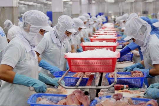 Vietnamese pangasius becomes leading option for Brazilian consumers