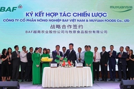 Vietnamese and Chinese firms co-operate in hi-tech livestock farming