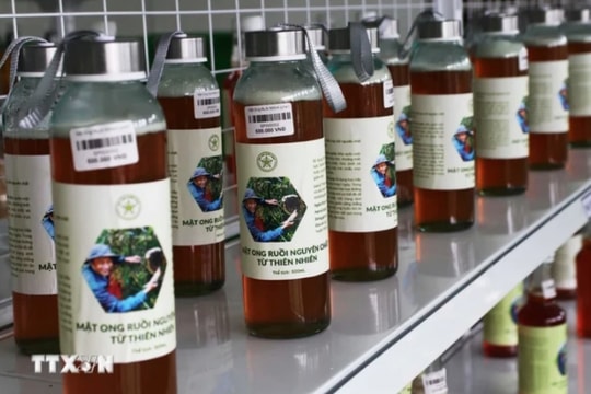 US extends issuance of final findings of anti-dumping duties on Vietnamese honey