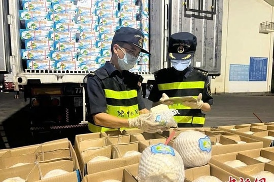 First batches of Vietnam’s fresh coconuts arrive in China