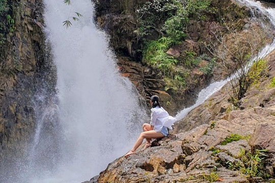 Đến Bảo Lộc nghe suối chảy, ngắm biển mây và cây lá đỏ mùa thay lá