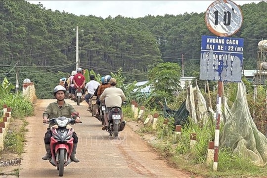 Hundreds of decrepit bridges in Lâm Đồng Province need repair, replacement