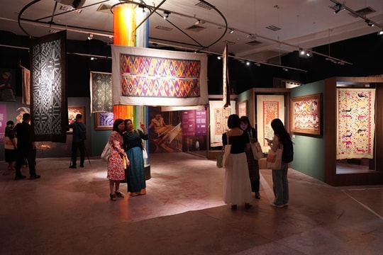 Exhibition showcases 190 precious quilts of the Tai in Nghệ An