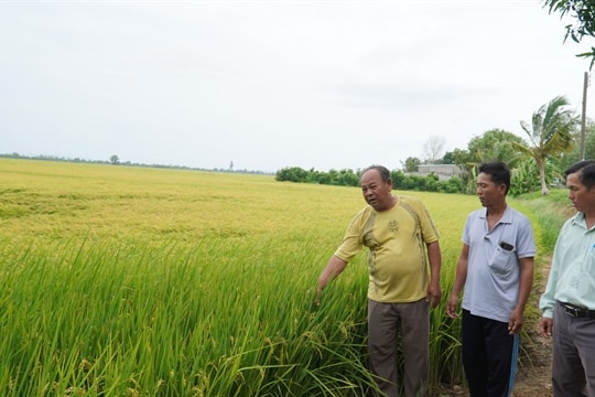 Farmers become millionaires after hard work and clever use of resources