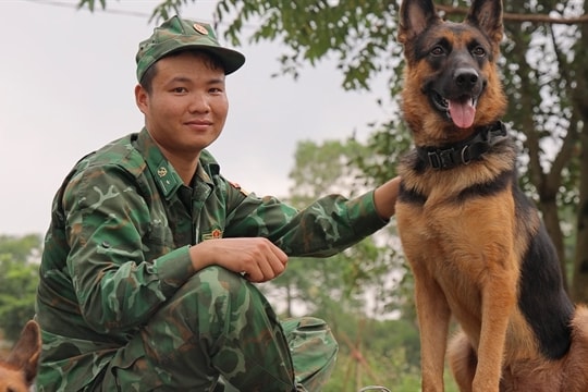 Four-legged heroes