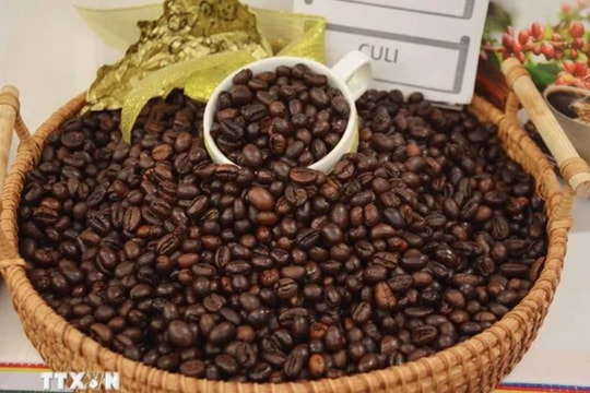 Vietnam’s coffee exports exceed US$5 billion in 2023-2024 crop year