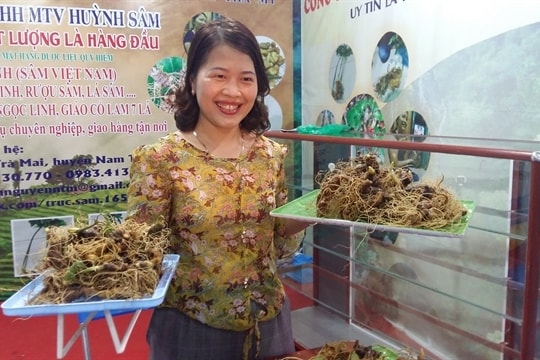 International Ngoc Linh ginseng festival set for 2025