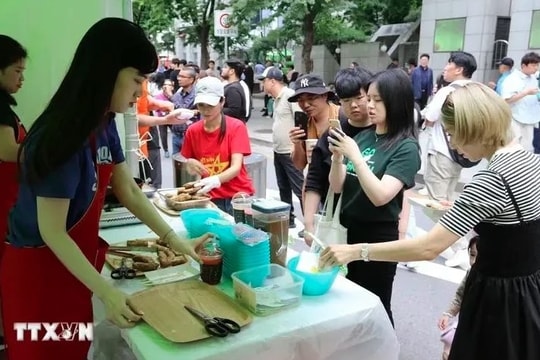 Festival promotes Vietnam-RoK cultural exchange