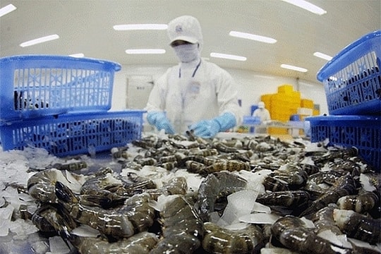 China emerges as largest export market for Vietnamese seafood