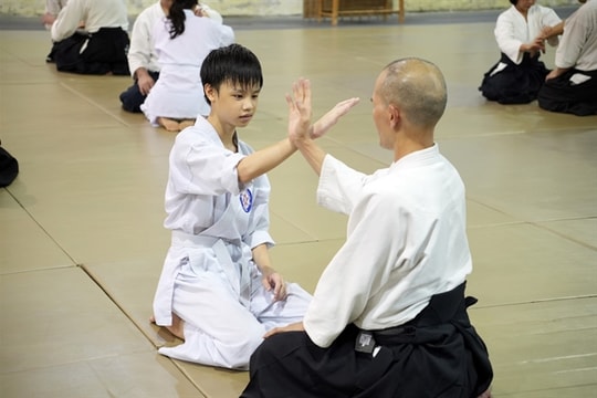 Martial art for peace