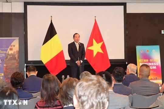 Forum steps up economic cooperation between Vietnam and Belgium