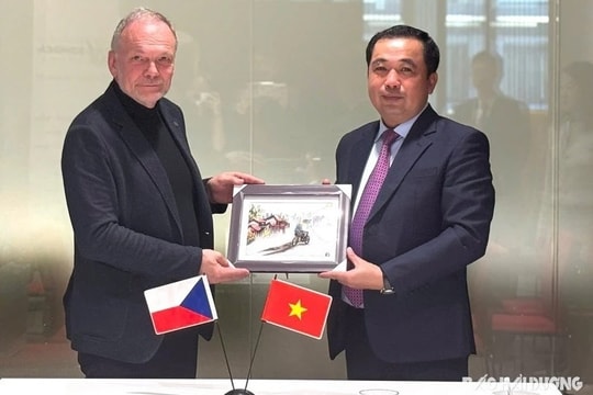 Hai Duong steps up investment, labour cooperation with Czech Republic