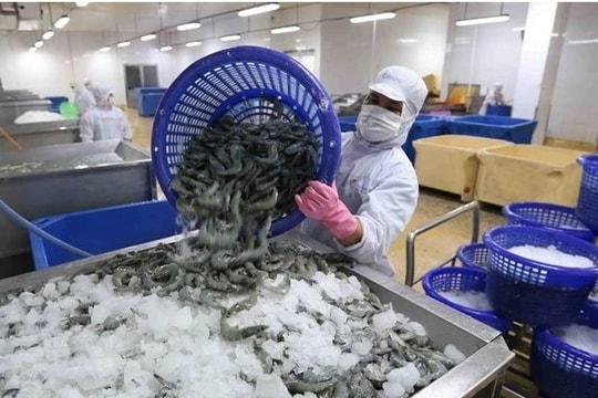 DOC requested to conduct anti-subsidy probe into VN’s frozen warmwater shrimp