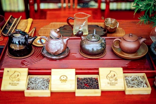 Vietnamese tea wins “Teas of the World” international awards