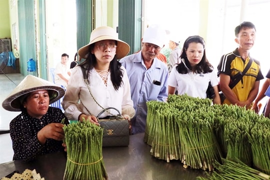 Ninh Thuận Province develops co-operative sector