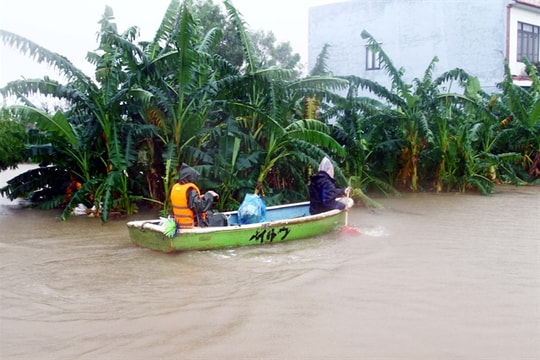 Central Việt Nam prepares for intense rainfall and strong winds