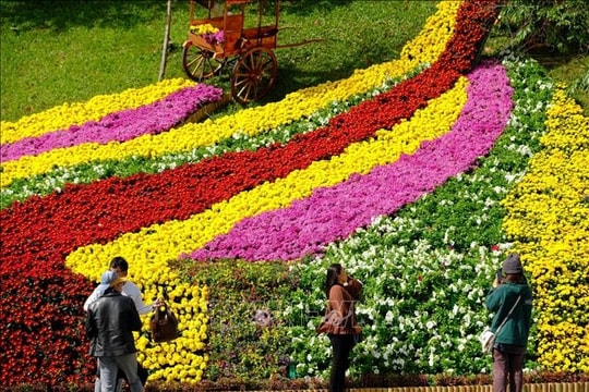 Da Lat Flower Festival to elevate Vietnamese culture and tourism