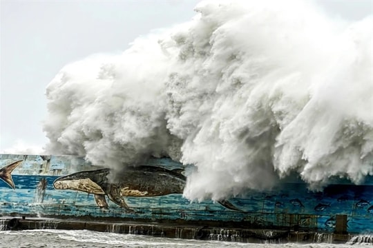 Vietnamese airlines reschedule flights to Taiwan (China) due to Typhoon Kong-rey