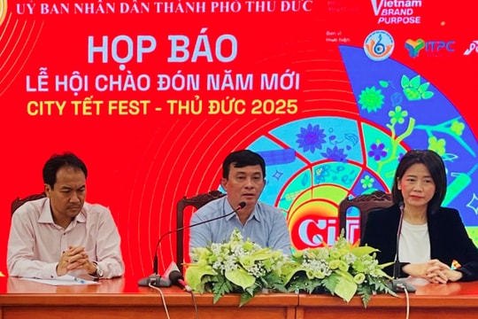 Ho Chi Minh City to ring in New Year with special festival