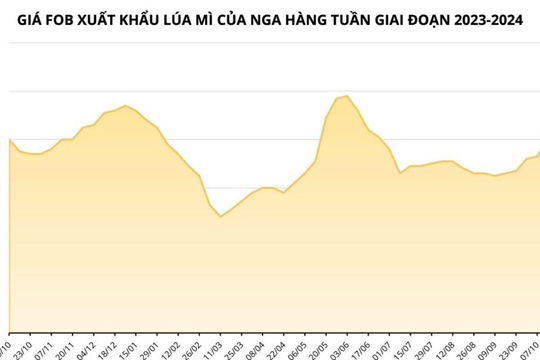 Xuất khẩu lúa mì Nga dự báo giảm trong tháng 11