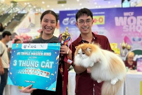 Vietnam wins international cat breed show in Ho Chi Minh City