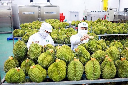 Fruit and vegetable exports likely to fetch US$7 billion this year