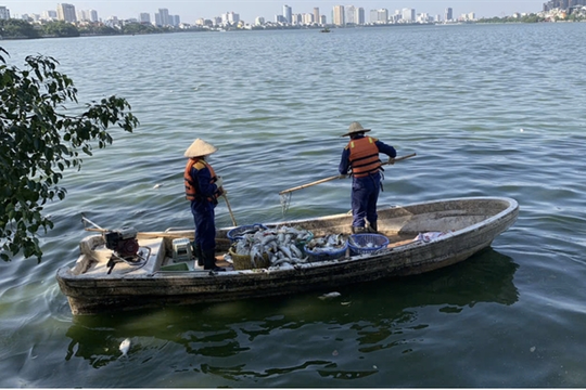 Fundamental measures needed to protect West Lake