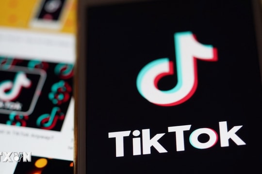 Brazil điều tra việc TikTok truy cập dữ liệu trẻ vị thành niên