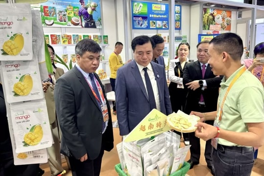 Vietnam attends seventh China International Import Expo