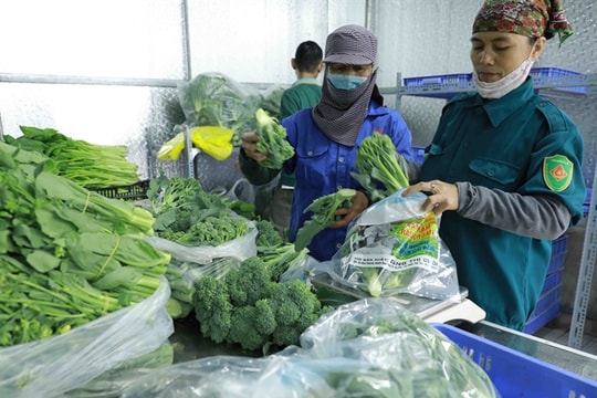 Hà Nội’s agriculture has achieved remarkable growth through digital technology