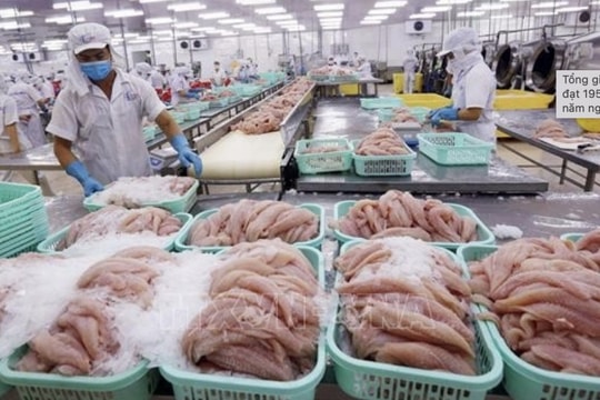 Pangasius exports to Canada see 10% over 10 months