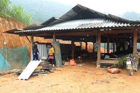 Yên Bái focuses on resettlement for families after typhoon