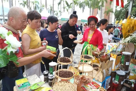 Việt Nam attends cultural exchange festival in Hong Kong