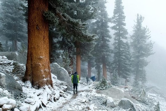 Các đèo phổ biến ở dãy núi Sierra Nevada, California để bạn đi bộ đường dài