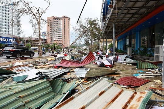 Resilient buildings: a necessity for Việt Nam