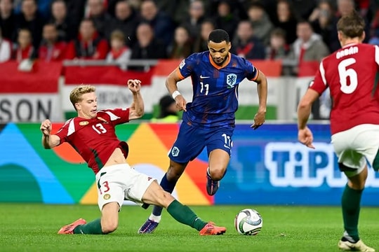 Lịch thi đấu bóng đá hôm nay 16/11: UEFA Nations League: Đức vs Bosnia, Hà Lan vs Hungary, Thổ Nhĩ Kỳ vs Xứ Wales