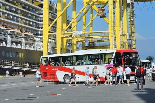 Cruise ship Noordam brings nearly 2,000 foreign arrivals to Da Nang