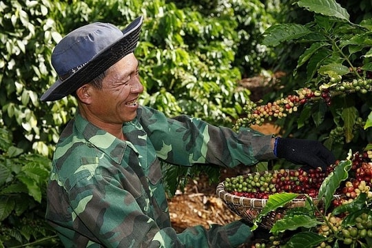 Coffee brings in highest export earnings on record